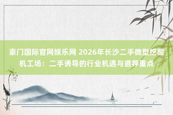 豪门国际官网娱乐网 2026年长沙二手微型挖掘机工场：二手诱导的行业机遇与遴荐重点